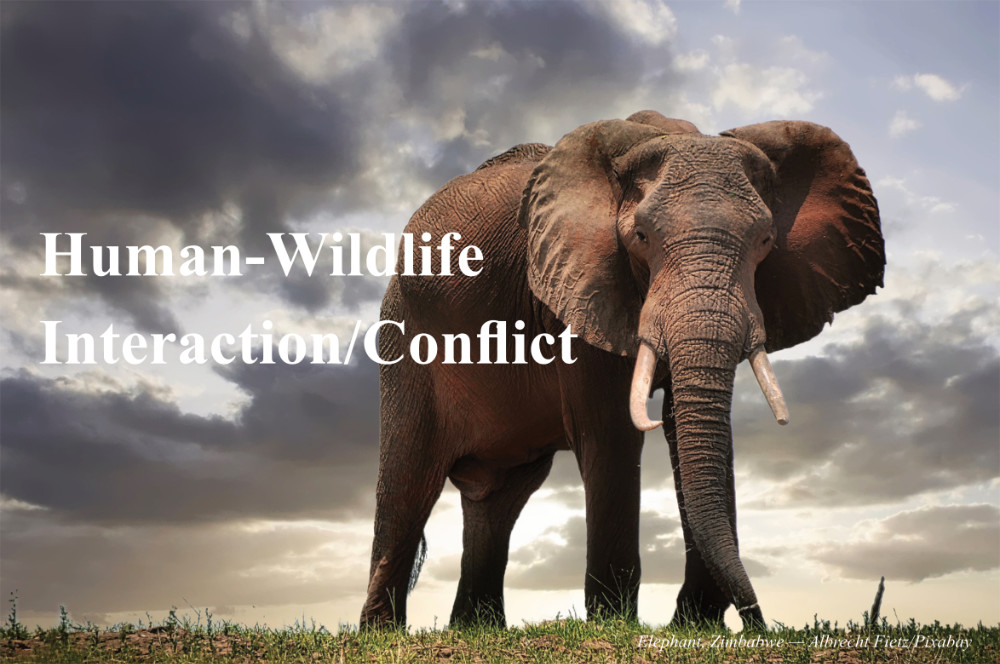 Human-Wildlife Interaction/Conflict